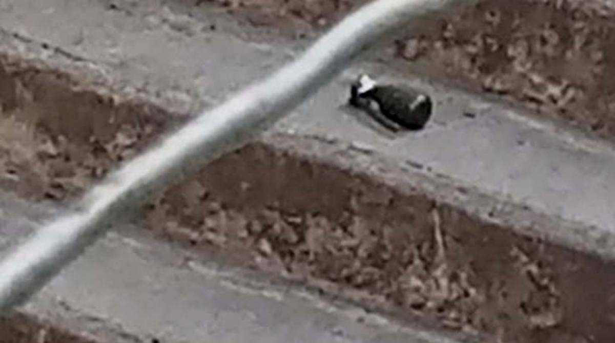 Uma granada foi encontrada na região