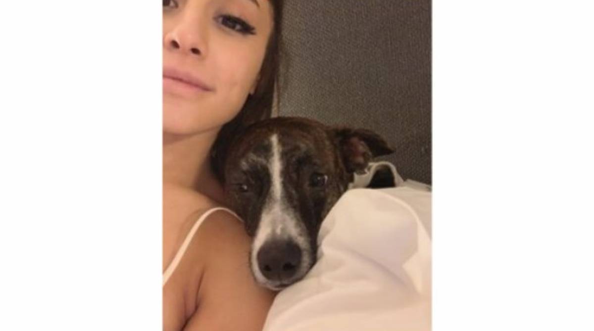 Ariana Grande e Myron
