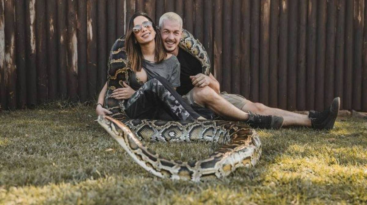 Anitta aparece enrolada em uma cobra junto com bonitão - Reprodução Instagram