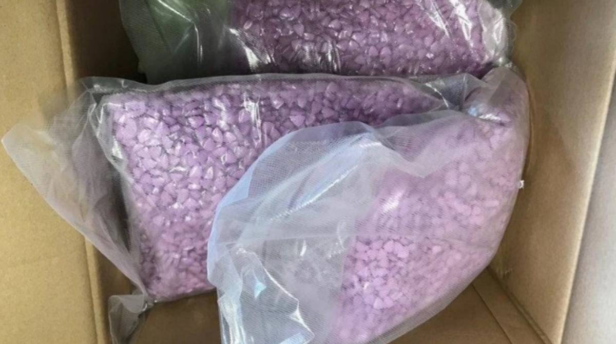 Ecstasy - Reprodução