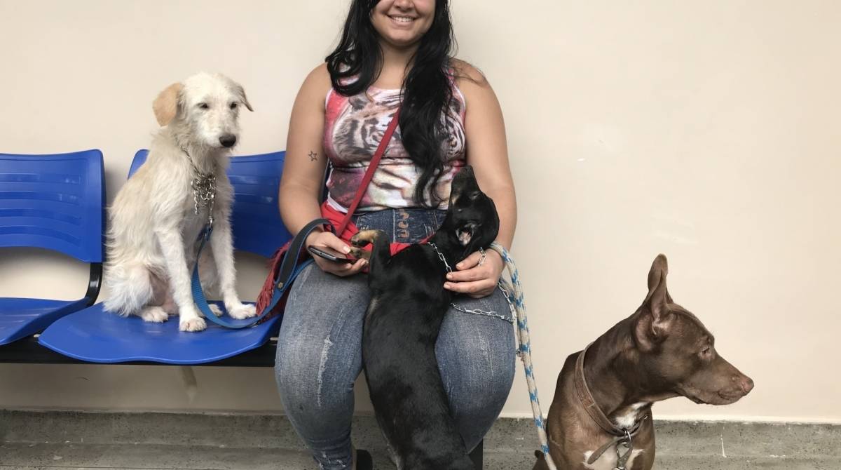 Jennifer levou Pequeno, Otto e Schot e os três foram castrados 