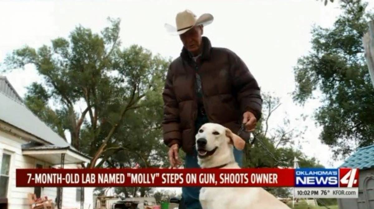 Acidente aconteceu dentro do veículo da família, enquanto eles aguardavam a passagem do trem - Reprodução de TV