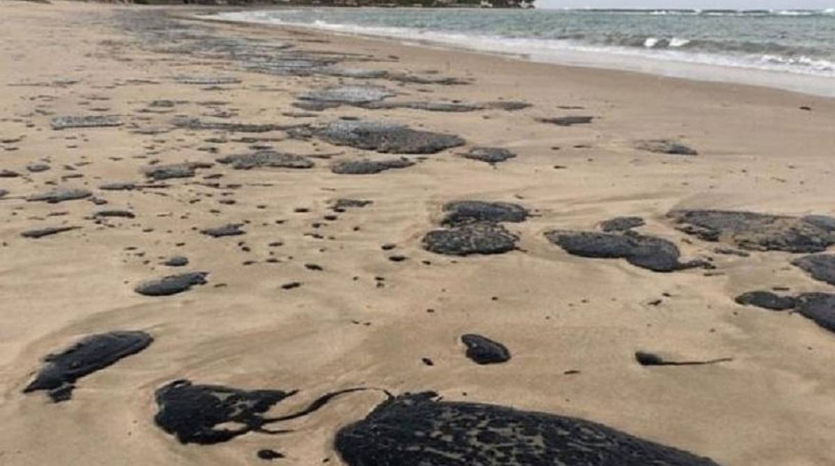 Primeiras manchas foram localizadas no litoral nordestino no início de setembro - Projeto Cetáceos da Costa Branca/Universidade do Estado do Rio Grande do Norte