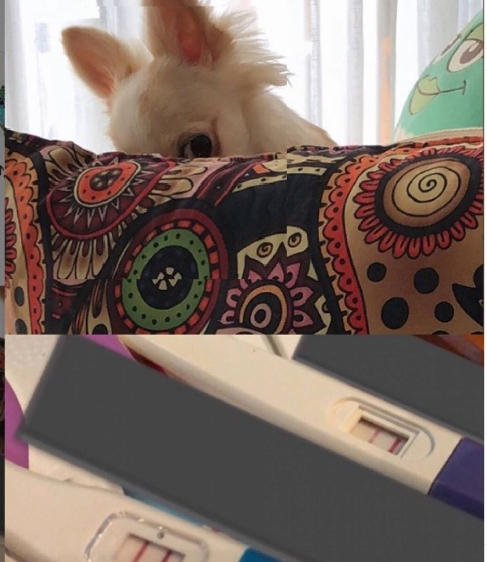 Dany Bananinha confirmou a gravidez em suas redes sociais - Reprodução/Instagram