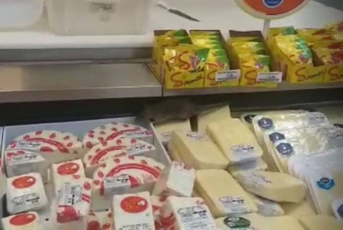 Rato circulou pelo balcão de queijos do supermercado
