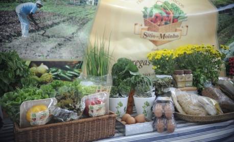 Índice de preços de alimentos da FAO sobe 0,5% em junho ante maio