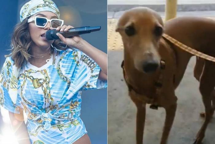 Anitta e seu cachorro Plínio - Reprodução