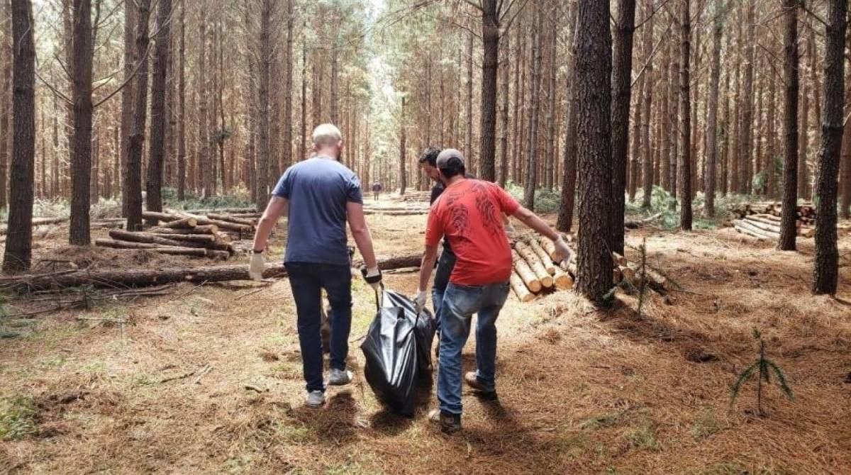 Homicídio aconteceu em área de reflorestamento - Divulgação/ IML