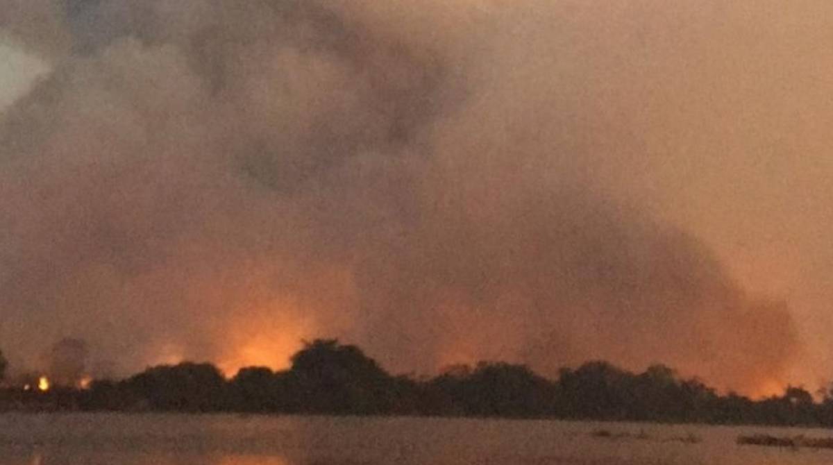 Chamas podem chegar a 5 ou 6 metros de altura e tornam mais difícil o acesso dos bombeiros - Redes Sociais / Divulgação 