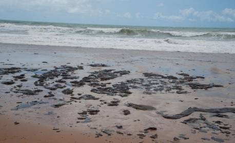 PF indicia empresa grega e chefes de navio por vazamento de óleo em 2019