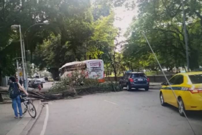 Árvore caiu e interdita parcialmente o trânsito na Avenida Rui Barbosa, no Flamengo