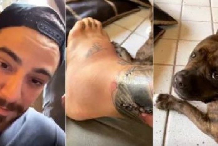 Felipe Titto é internado para tratar infecção causada por mordida de cachorro
