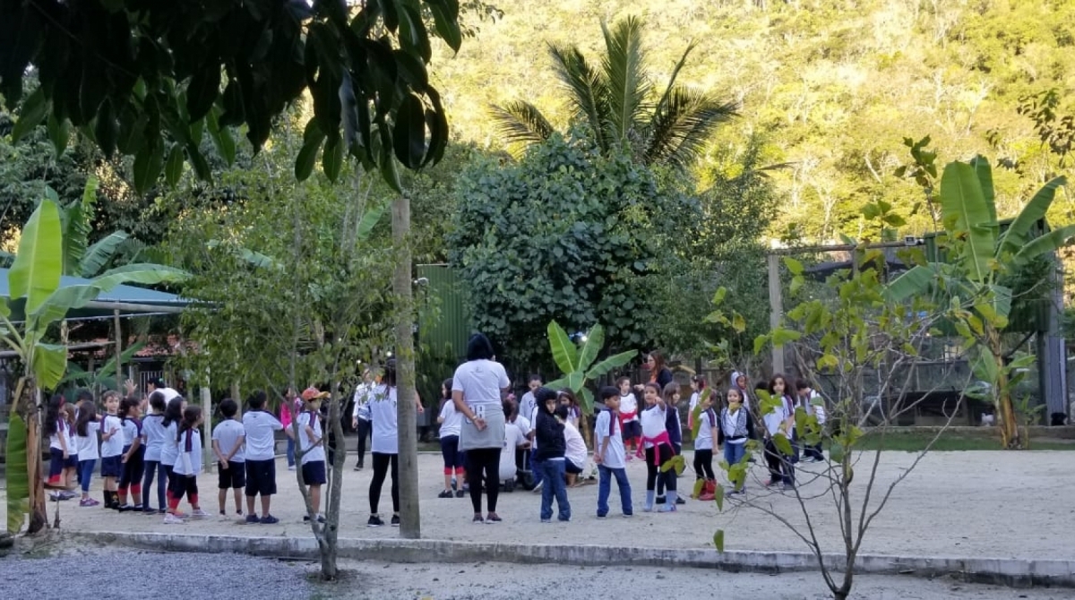 Crianças em festinhas escolares no Sítio Festa na Floresta 