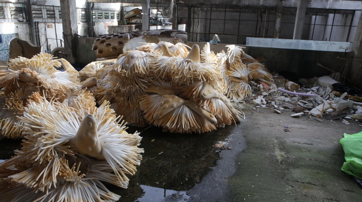 Rio, 13/11/2019  - Precariedade das escolas de Samba do grupo A. Barracao da Renascer de Jacarepagua., Zona da Leopoldina, Centro do Rio. Foto: Ricardo Cassiano/Agencia O Dia