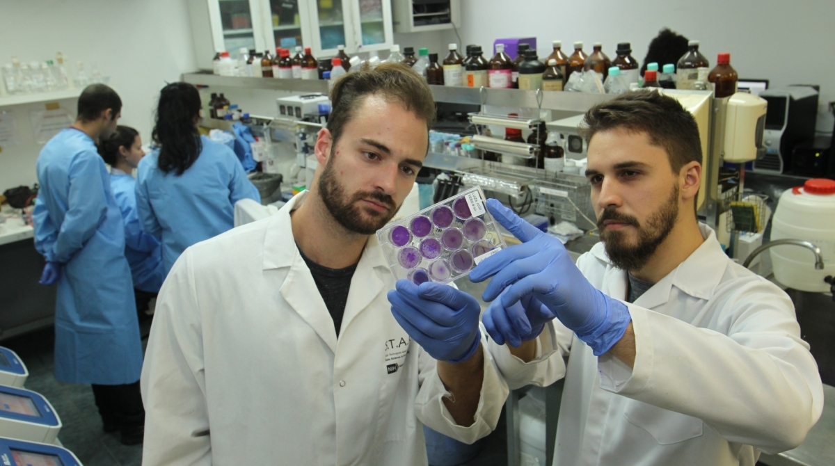 Pesquisa sobre a dengue e outras doenças transmitidas por mosquitos, no Centro de Ciências da Saúde da UFRJ, no Campus do Fundão, na Ilha do Governador.  