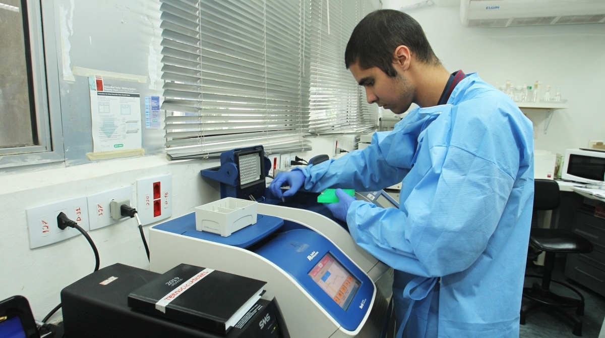 Pesquisa sobre a dengue e outras doenças transmitidas por mosquitos, no Centro de Ciências da Saúde da UFRJ, no Campus do Fundão, na Ilha do Governador.  