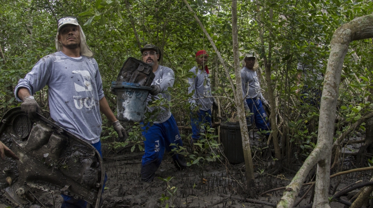 O Projeto LimpaOca recomeçou em 2014 com a limpeza da Baía de Guanabara - Fotos de divulgação