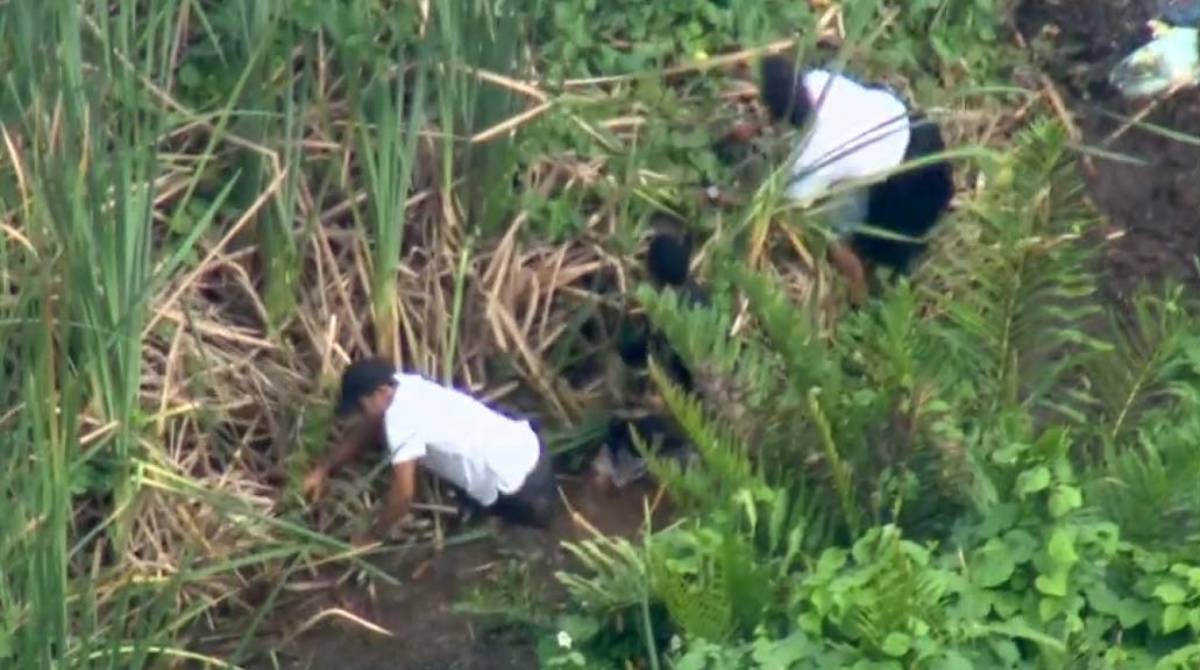 Criminosos se jogaram na lama para se esconder da pol&iacute;cia - Reprodução / TV Globo