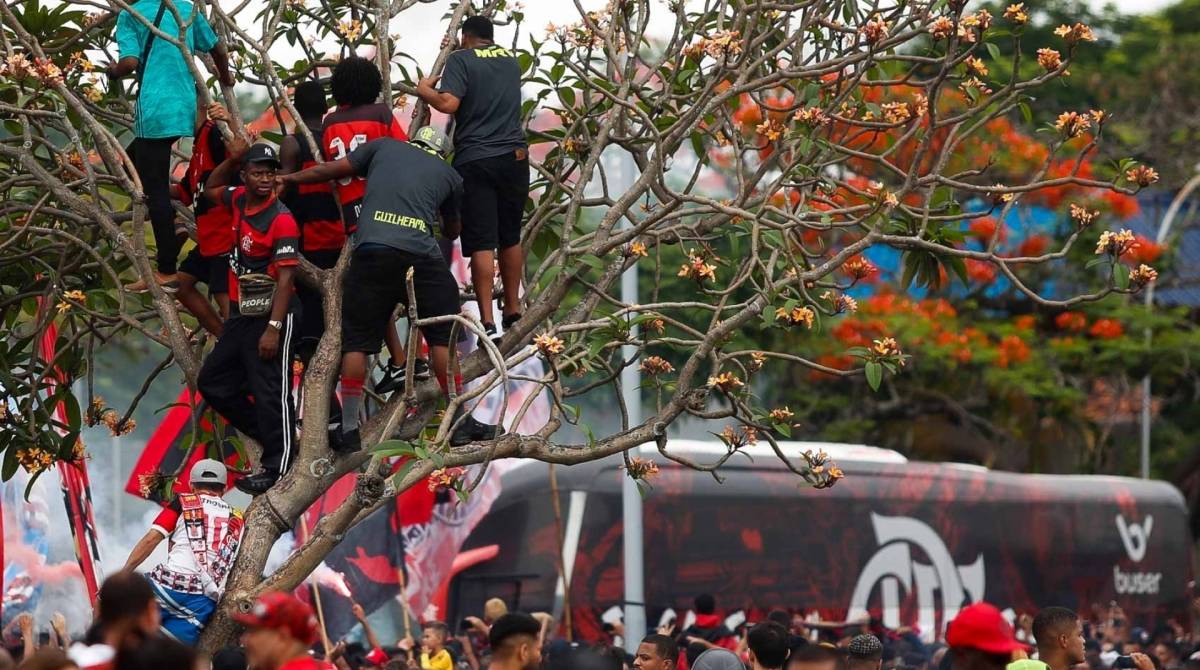 Torcedores do Flamengo fazem uma grande festa