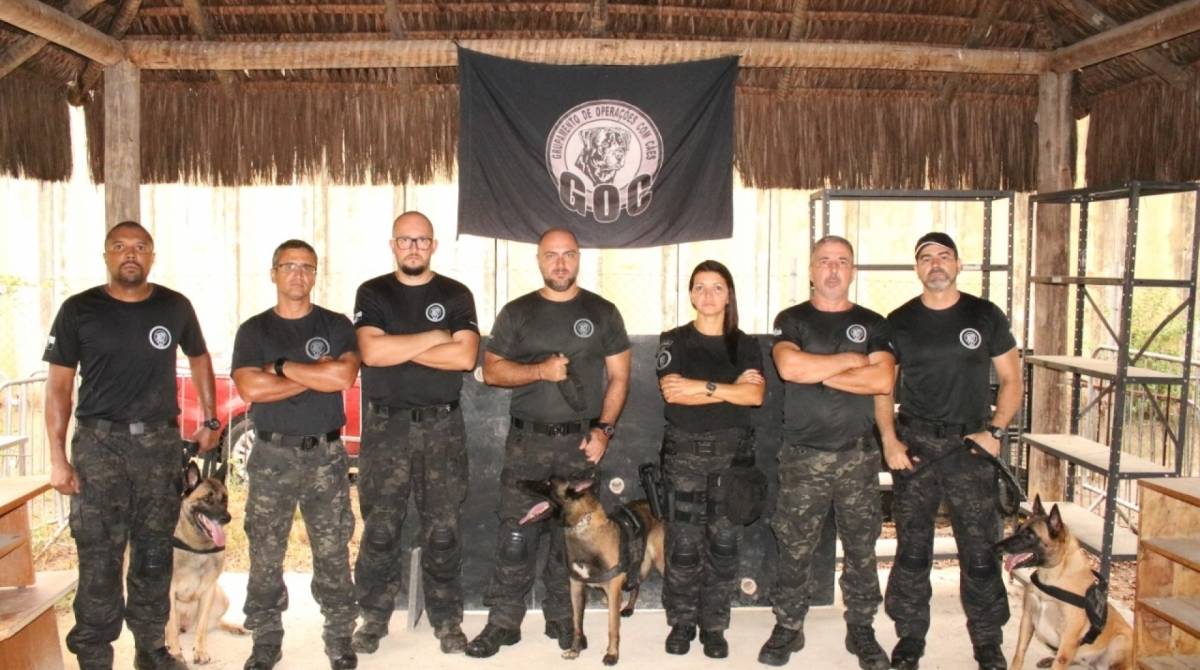 Os cães serão os primeiros do grupamento a serem treinados para identificar a entrada de celulares nos presídios