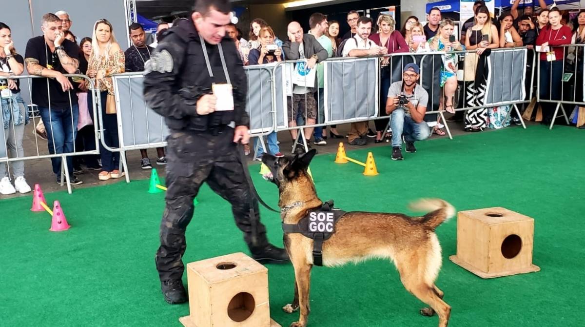 As novas cadelas da Seap se apresentaram em feira pet nessa semana e fizeram sucesso