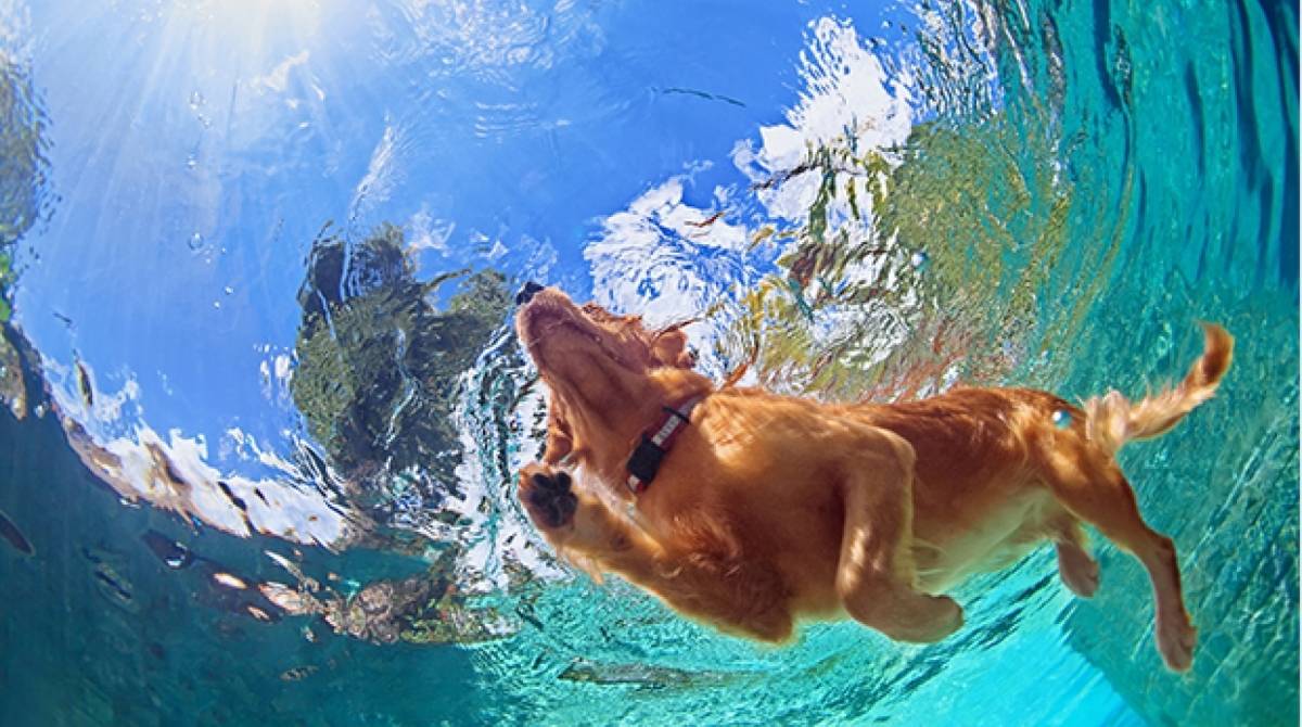O uso do filtro solar ajuda a evitar, entre outras doenças, como câncer de pele   