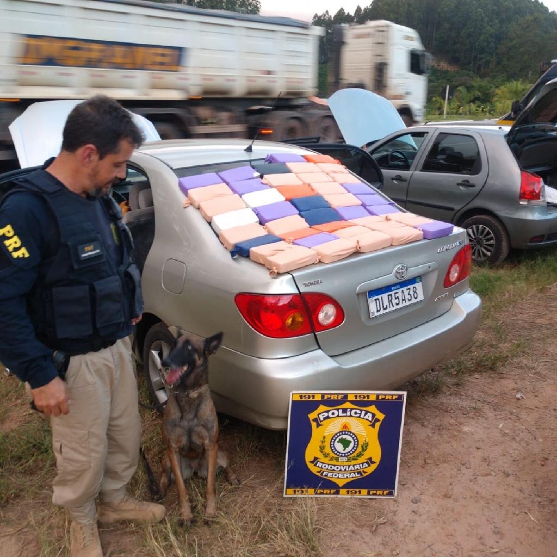 Em seu último trabalho, a cadela ajudou a encontrar 10kg de pasta base de cocaína