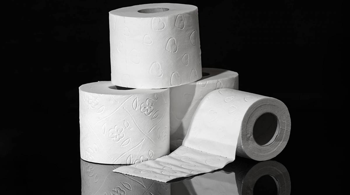 Black Friday da Magalu vende 13 mil quilômetros de papel higiênico - Reprodução/Internet