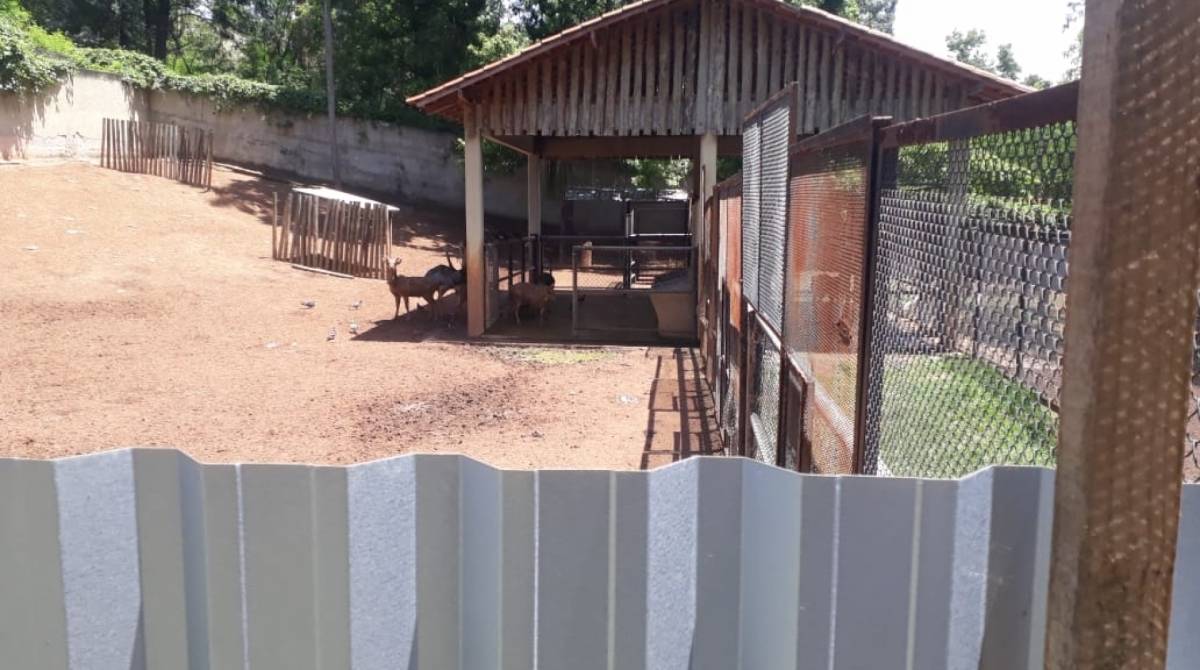 Vistoria da Comissão Especial de Saúde Animal teria flagrado animais estressados com obras no local - Fotos de reprodução