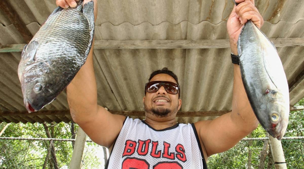 Açougue no Bairro de Fátima, Centro do Rio: a vitrine estampa as ofertas, mas não atrai os clientes - Estefan Radovicz / Agencia O Dia