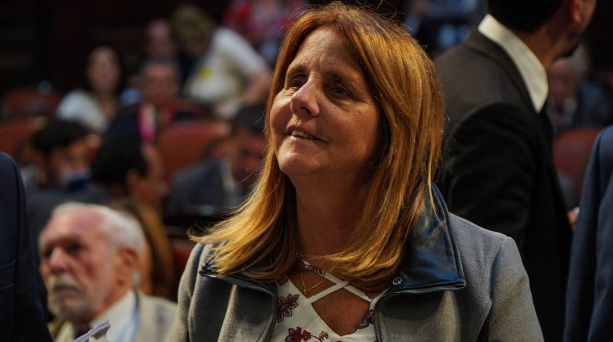 Projeto de lei 1.428/19 aprovado na Alerj, nesta quarta, foi apresentado pela deputada Lucinha (PSDB) 