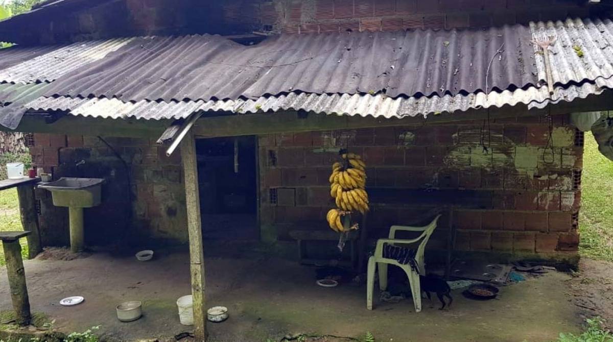 Cativeiro fica em uma regi&atilde;o de mata de dif&iacute;cil acesso - Divulgação / Polícia Civil