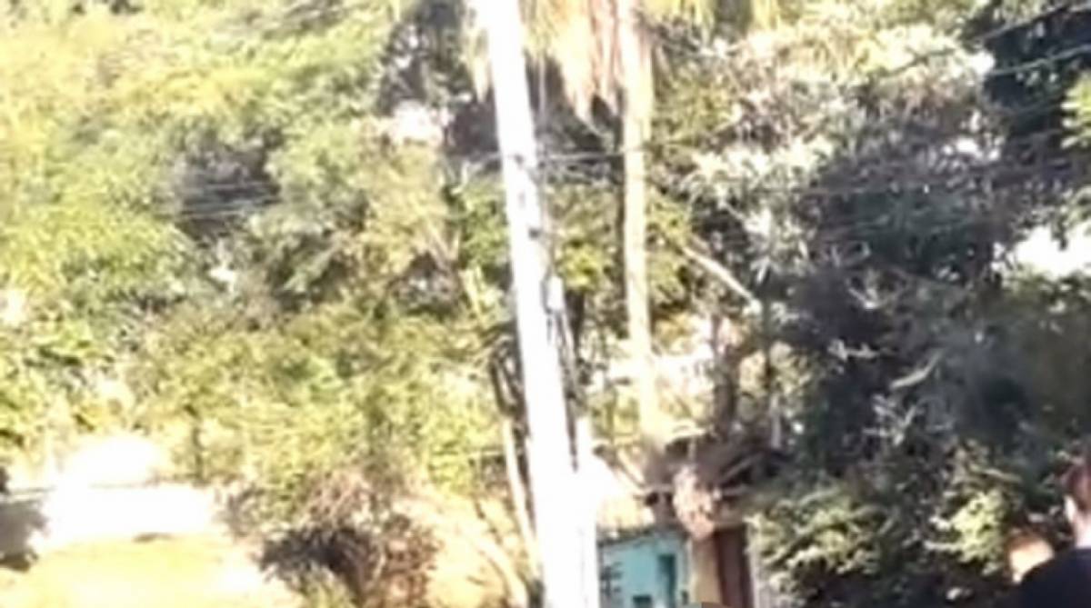 Acidente com carro deixou cinco mortos e três feridos na Linha Amarela, no bairro Encantado - Reprodução vídeo / WhatsApp O DIA (98762-8248)