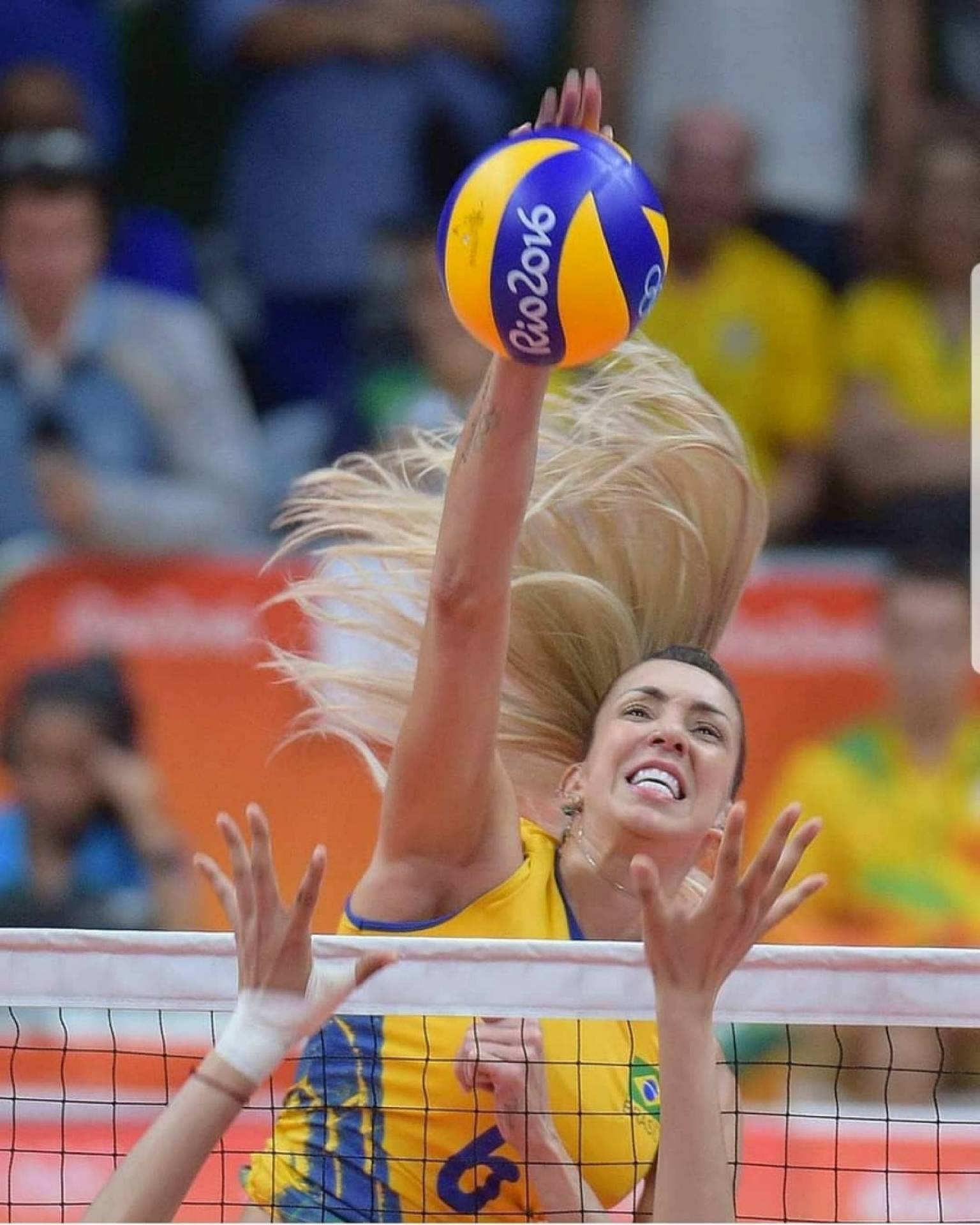 Bicampeã olímpica, a jogadora de vôlei Thaísa Daher começou a carreira de sucesso no TTC