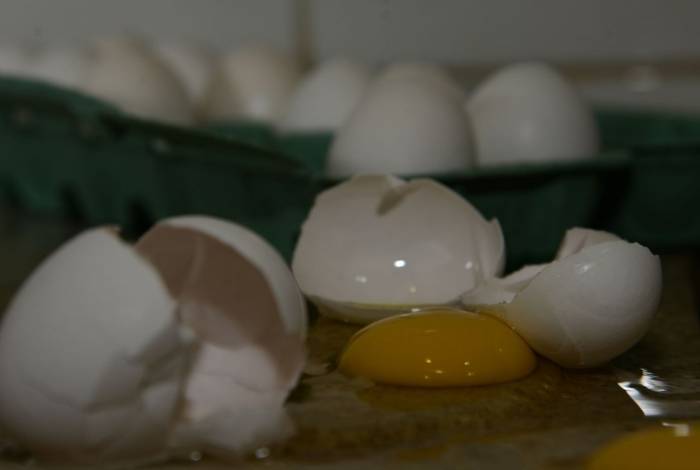 Produção de ovos no país segue batendo recorde