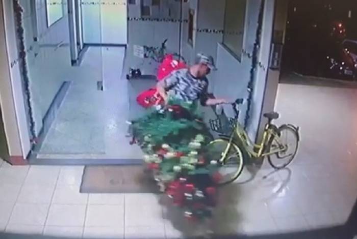 Homem foi flagrado furtando árvore de Natal