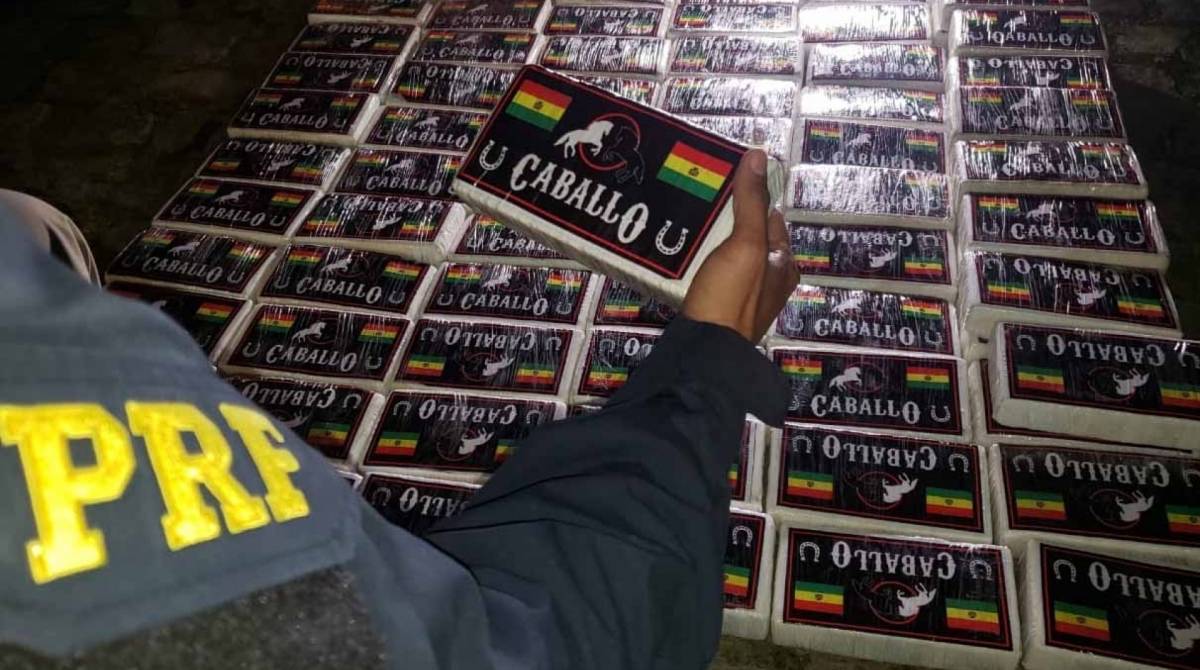 Apreensão aconteceu na noite desta segunda