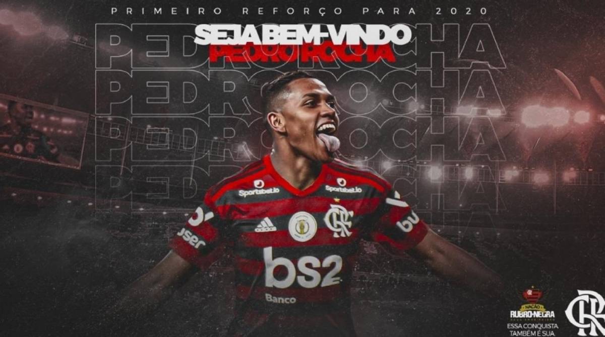 Pedro Rocha - Reprodução