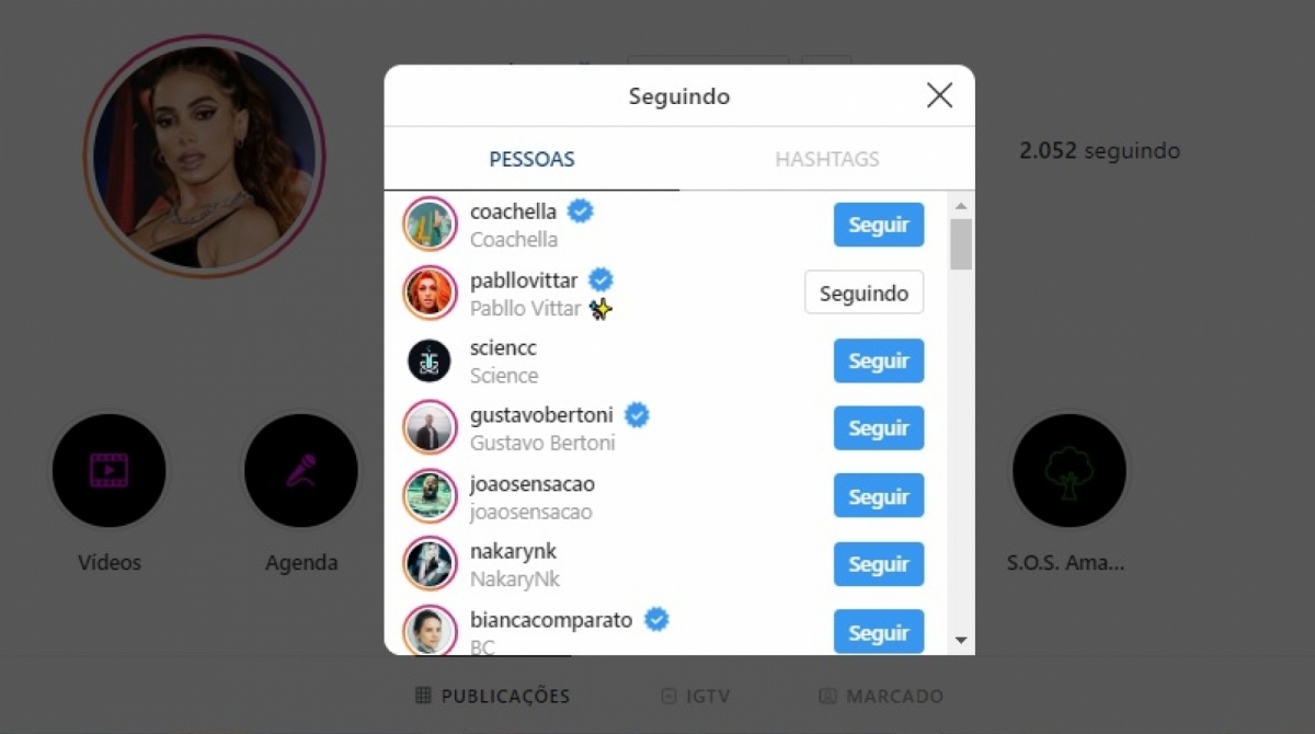 Anitta volta a seguir Pabllo Vittar - Reprodução/Instagram