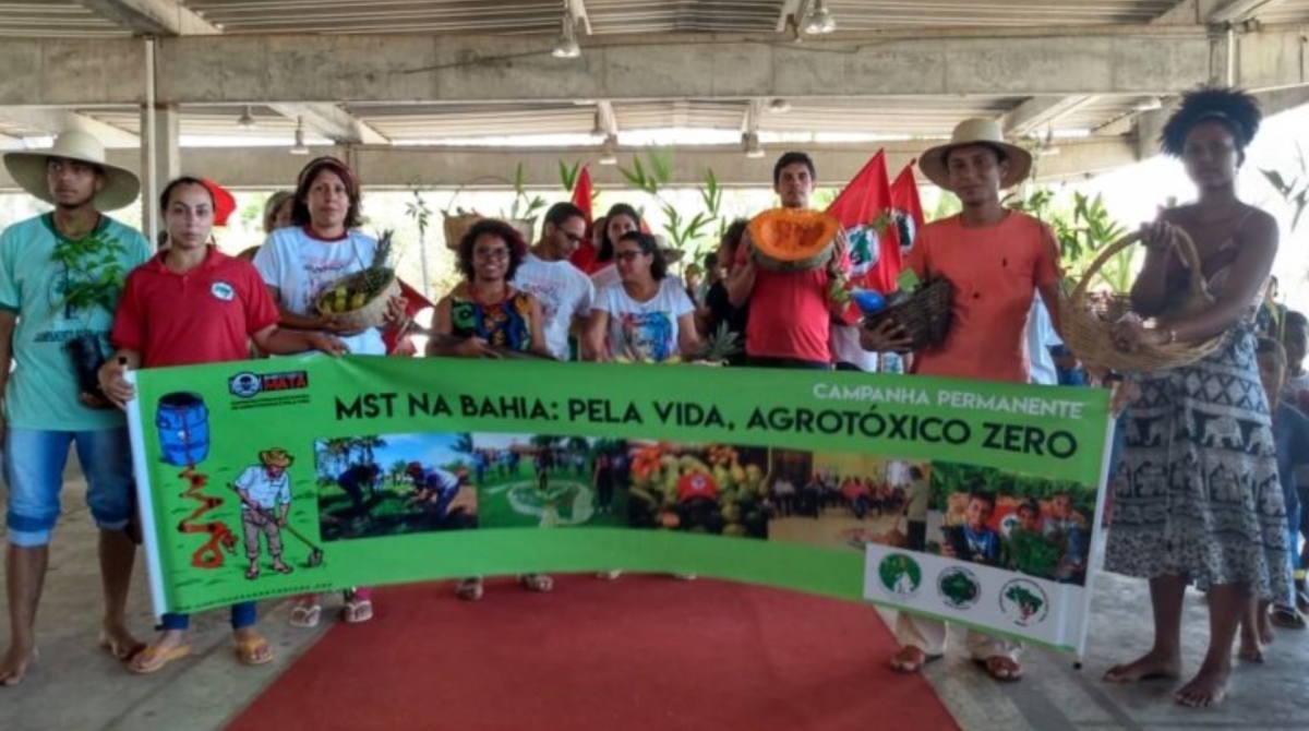 Bahia foi um dos Estados que já recebeu as primeiras mudos do plano de reflorestamento do MST - Divulgação/MST