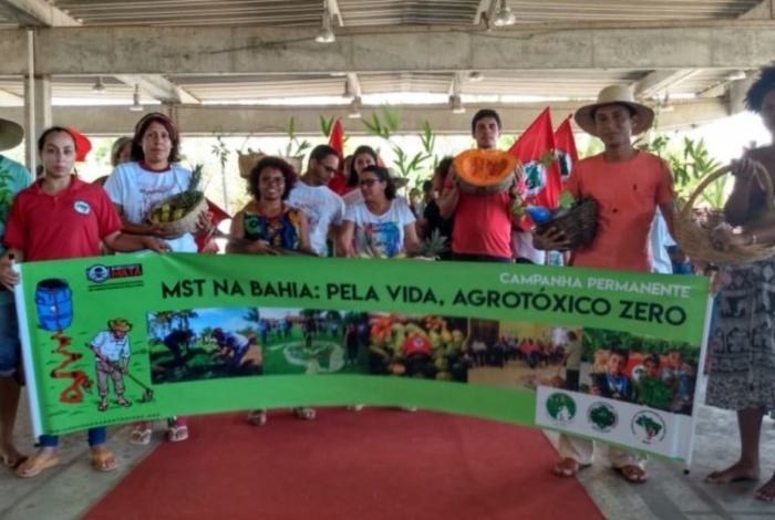 Bahia foi um dos Estados que já recebeu as primeiras mudos do plano de reflorestamento do MST