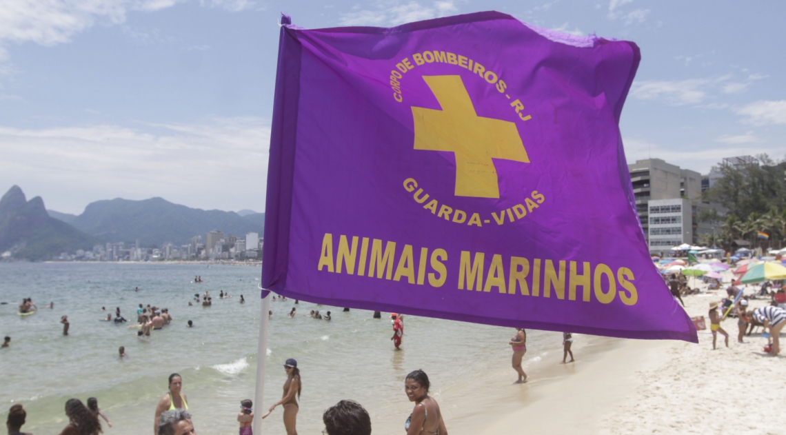 Bandeira roxa no Arpoador - Cléber Mendes