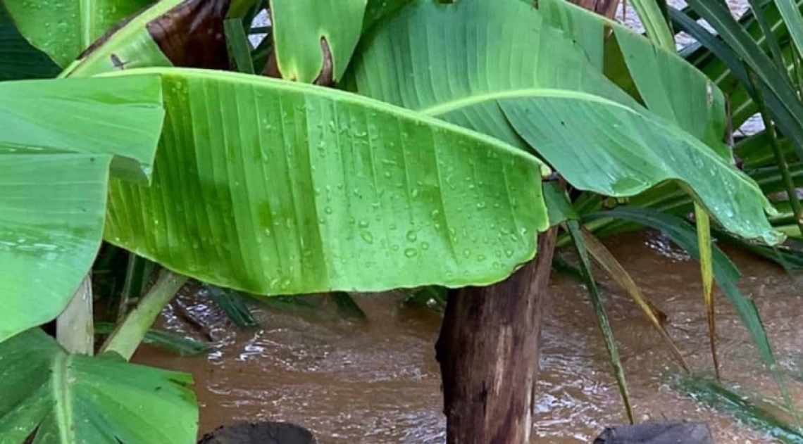 Situação em Barra Mansa