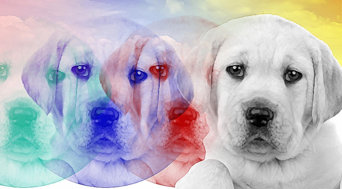 opina1201 - arte o dia