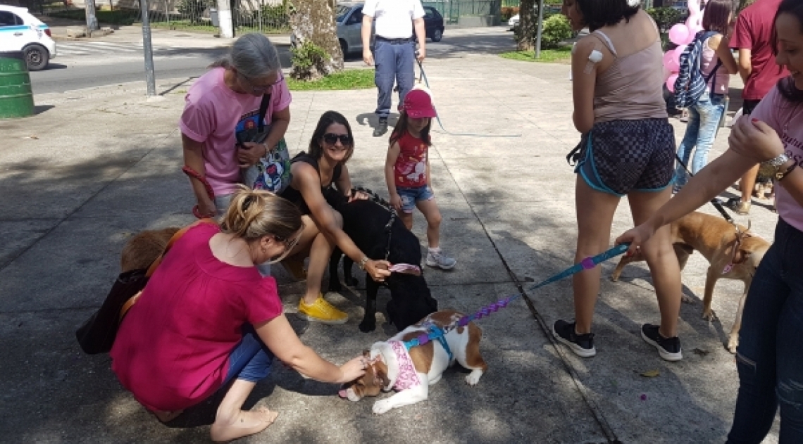 Pedido antigo dos protetores: a realização do 1º Outubro Rosa Pet - Divulgação/Prefeitura de Petrópolis