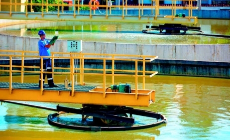 Meio ambiente e saneamento: o que pensam os candidatos ao governo do Estado?
