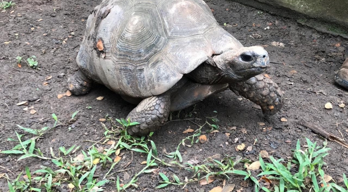 Com a coroa, a paulista Camila - Luciano Belford