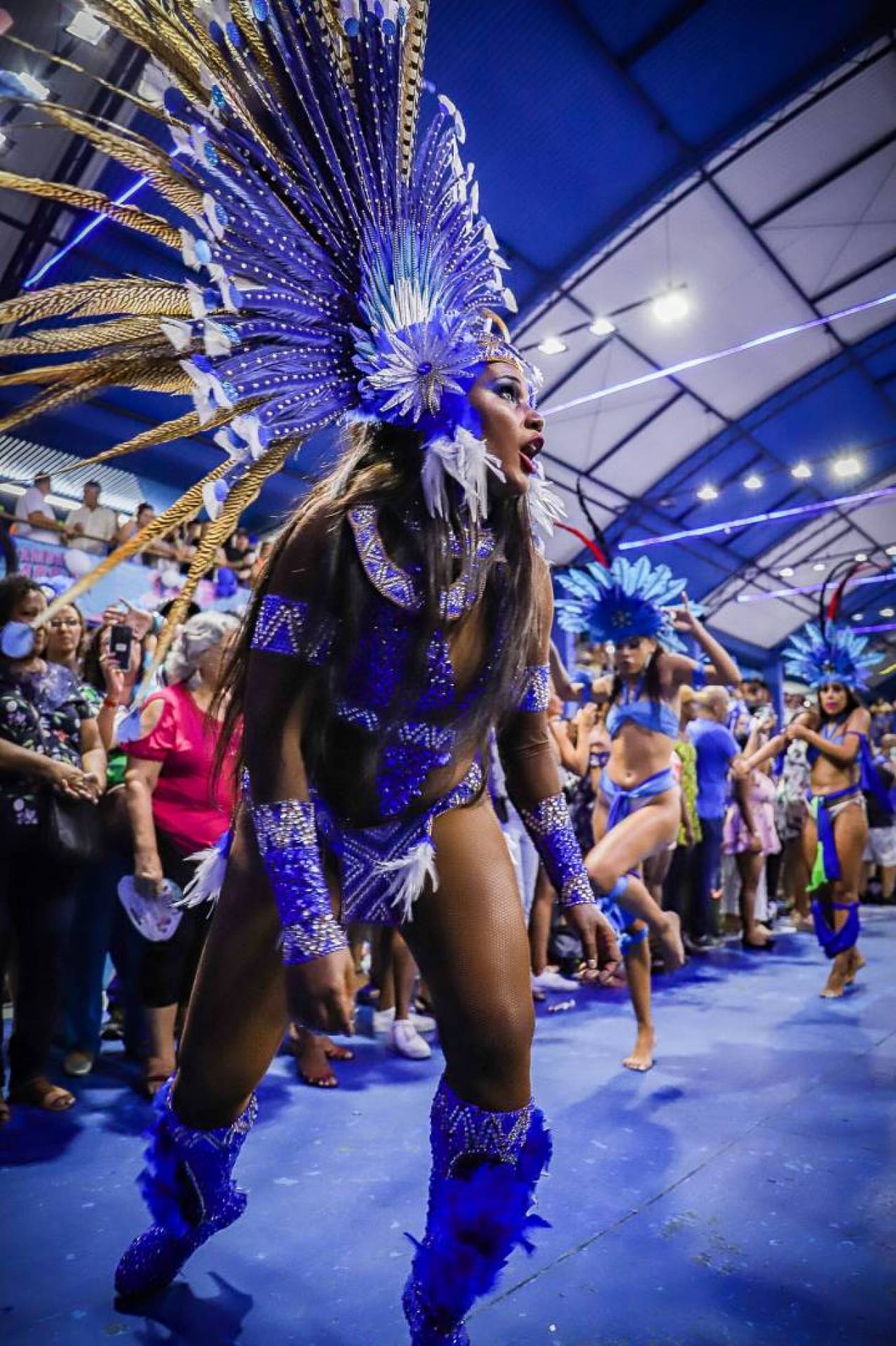 Ensaio da Portela ter&aacute; presen&ccedil;a de segmentos da Grande Rio nesta sexta-feira