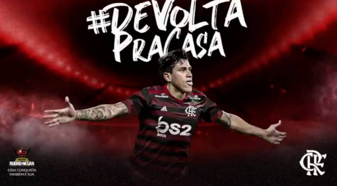 Pedro - Reprodução