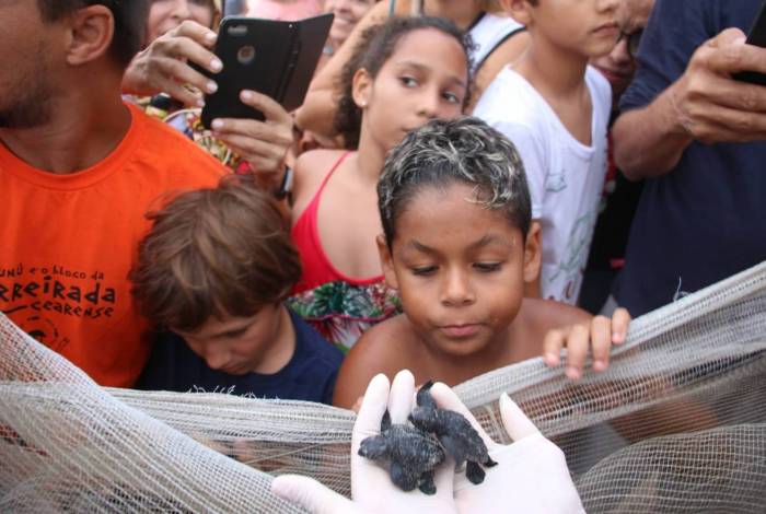 Ao todos, 39 tartarugas foram soltar na Praia da Barra da Tijuca, Zona Oeste 